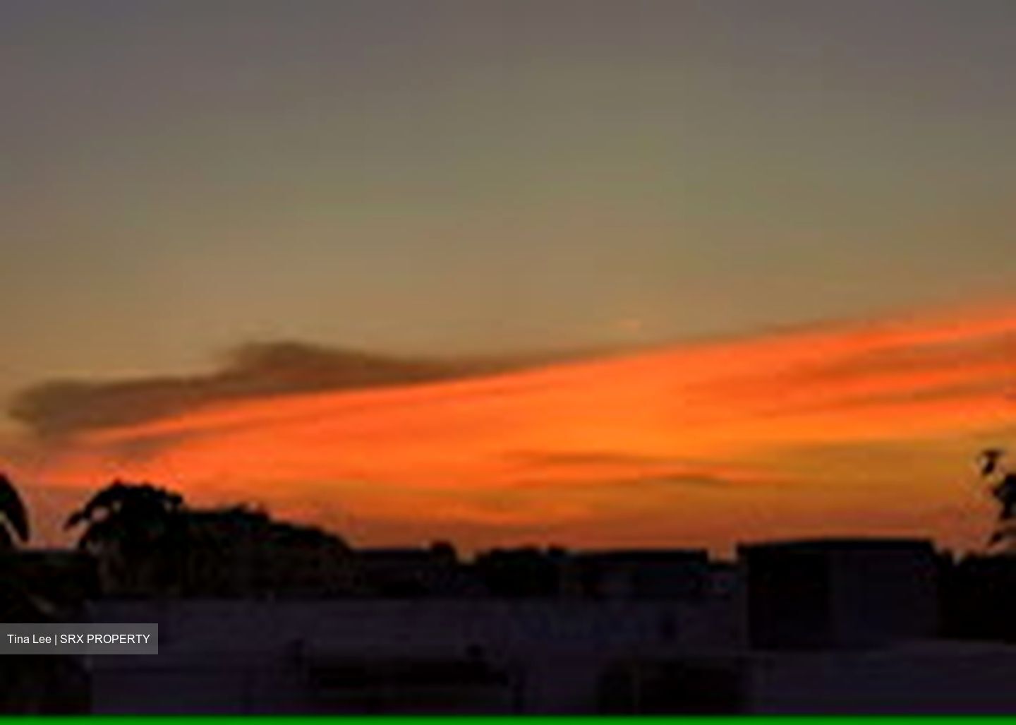 Cabana (D28), Terrace #445826751